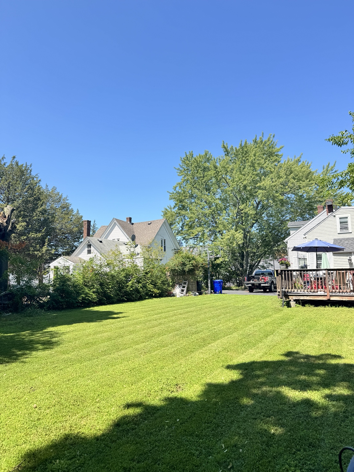 Freshly striped backyard lawn