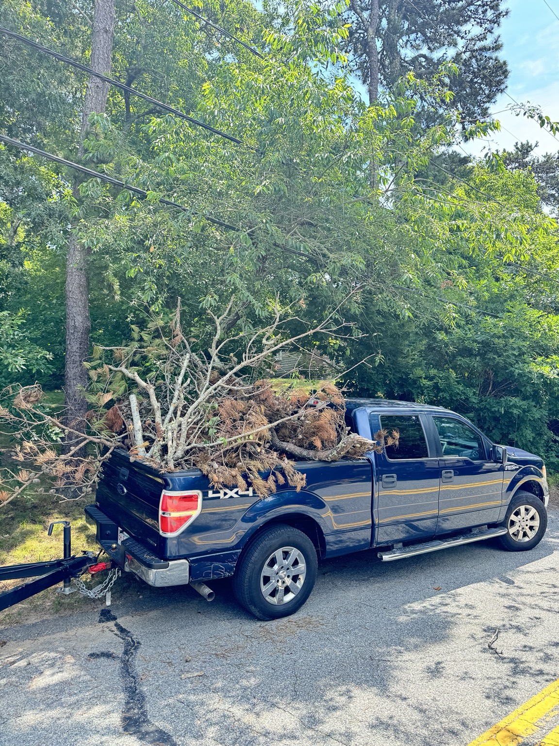 GB Landscape truck loaded with branches after a cleanup