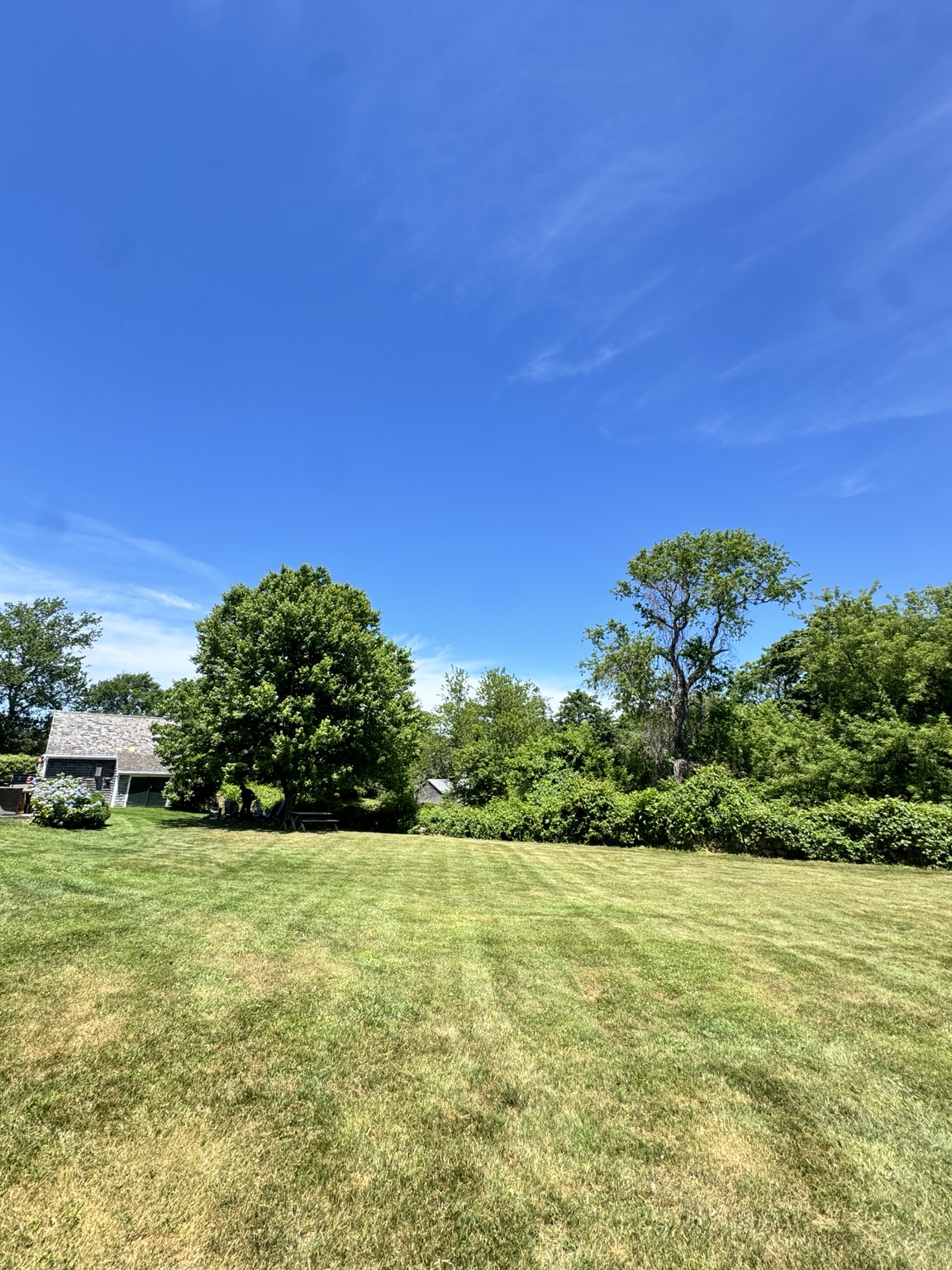 Large freshly maintained lawn